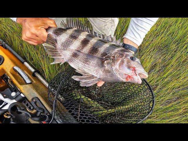 Old Man & The Sea (Monster Sheepshead Fishing)