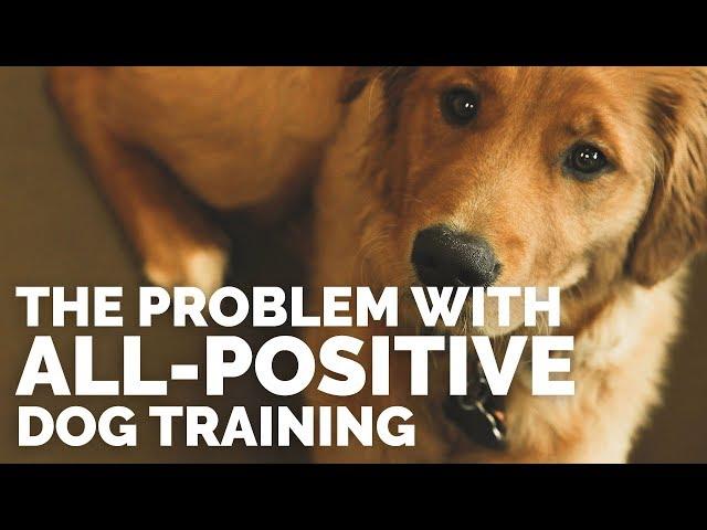 The Problem with All-Positive Dog Training