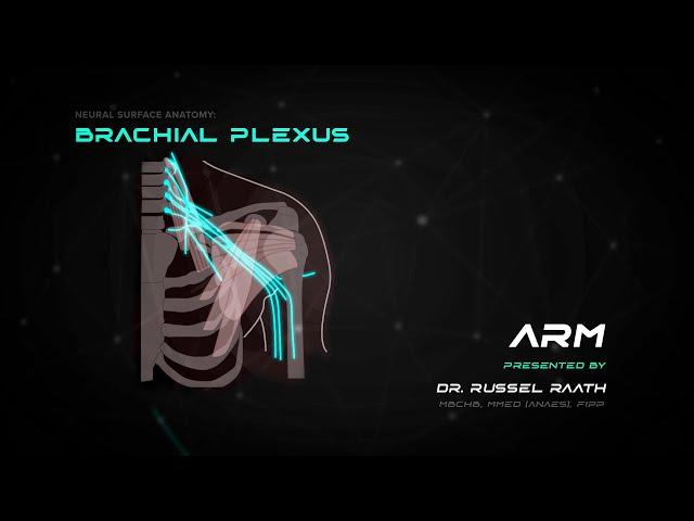 Locating and Treating Brachial Plexus - Stimpod NMS460