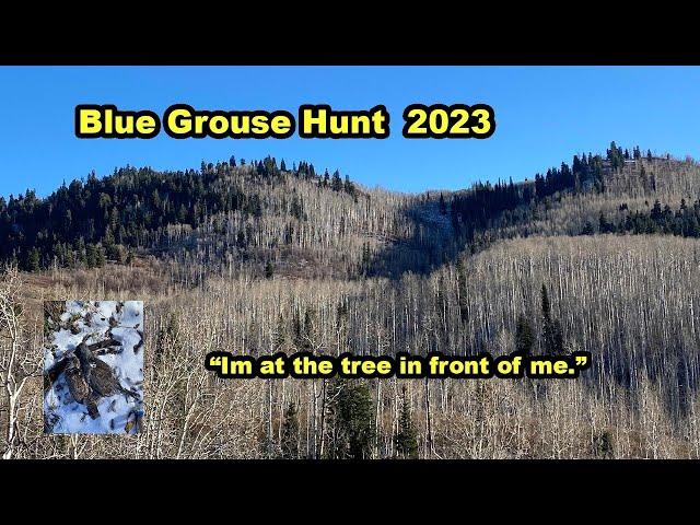 Blue Grouse 2023