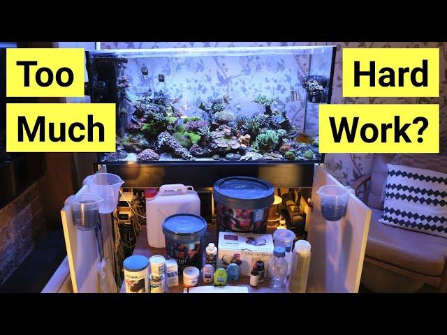 Watch This Before You Get A Saltwater Aquarium | FULL Maintenance Rundown