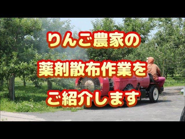 【薬剤散布】りんご栽培には必要不可欠【りんご大学】