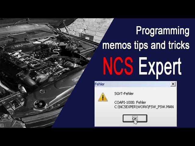 How to solve NCS Expert error SGVT COAPI-1000 and posible causes