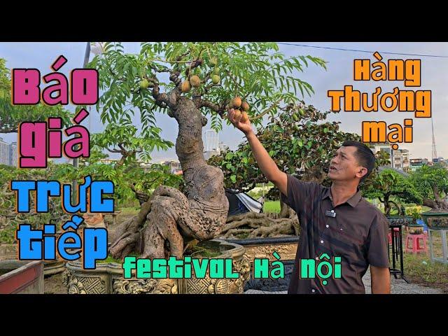 Báo giá hàng Thương mại tại festival Hà Nội  2024