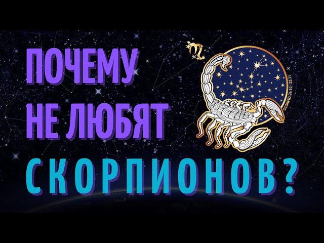 Почему не любят скорпионов? Причины не любви к скорпионам!