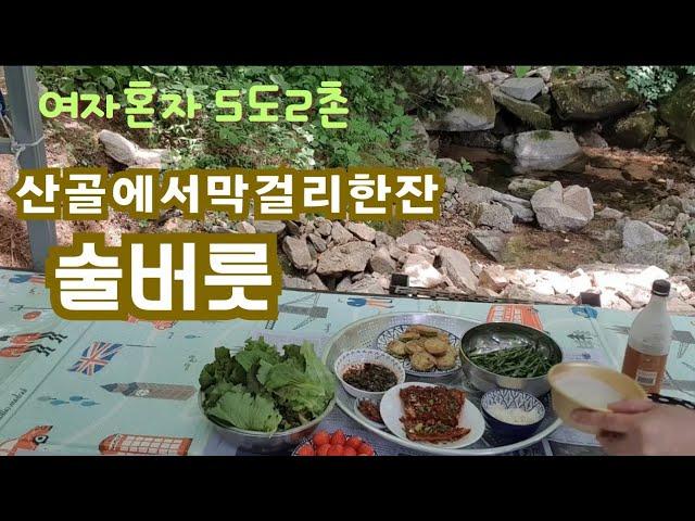 50대1인가구 브이로그/술버릇/황태구이/막걸 리한잔