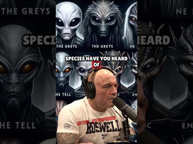 The Truth About Alien Species – Greys, Tall Whites, Reptilians & More - Joe Rogan Experience