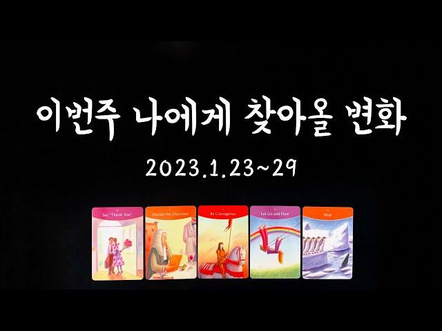 [타로] 주간운세 23.1.23-29/ 일, 금전, 애정, 학업, 일별 운세