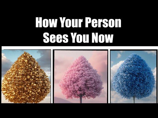 How Your Person Sees You Now  Pick A Card Timeless Psychic Reading