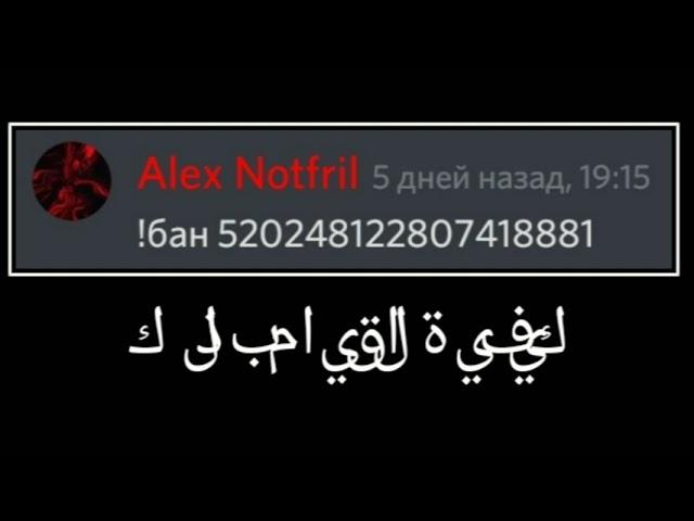 Alex Notfril каждый день