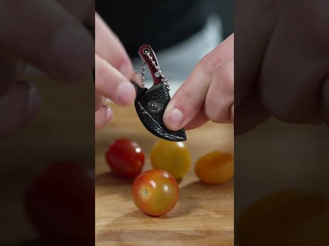 World's Smallest Pasta