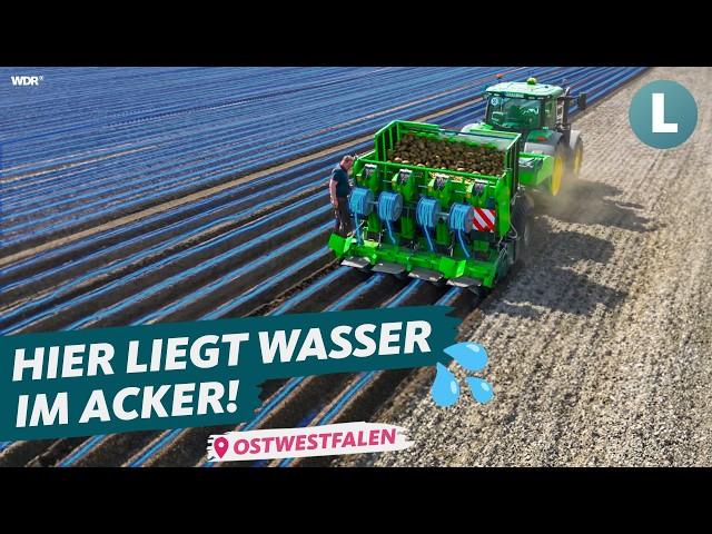 Technik gegen Dürre? So rettet Landwirt seine Ernte! | WDR Lokalzeit Land.Schafft.