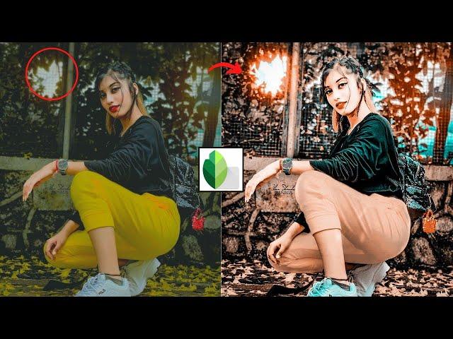 snapseed moody brown effect trick | moody brown editing | aqua Brown tone effect editing | new trick