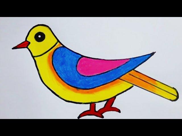 Bird Drawing For Beginners || Simple Bird Drawing||How To Draw Bird Easy||Bird Drawing & Colour#bird