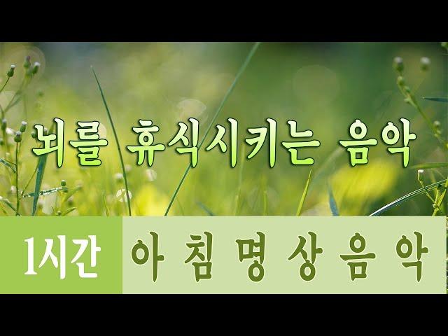 행운을 끌어오는 신비한 명상음악  하루10분 만병을 치료 해주는 힐링 명상 기치료 음악 및 영상 - 아침음악, 힐링음악, 명상음악, 스트레스해소음악