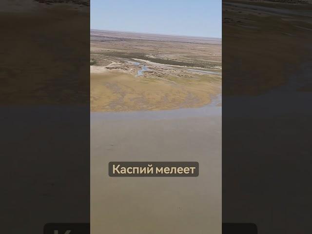МЕЛЕЮЩИЙ КАСПИЙ