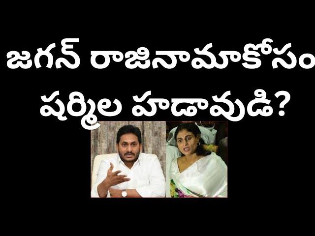 జగన్ రాజినామాకోసం షర్మిల హడావుడి?పులివెందులలో పోటీ చేస్తారా?Sharmila after Jagan seat?#telakapalli