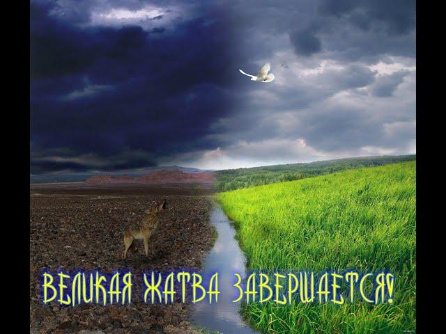 ВЕЛИКАЯ ЖАТВА ЗАВЕРШАЕТСЯ! 1 ч. #КвантовыйПереход  #КонецТьме #ЭгоИлиДуша