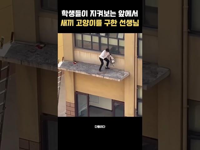 고양이를 구한 선생님