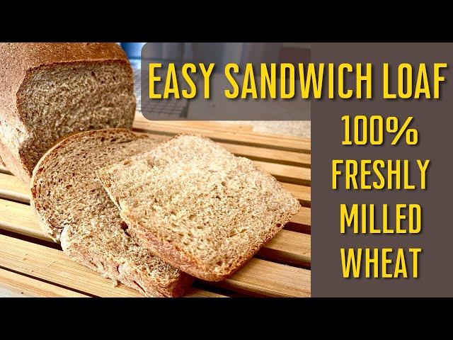 Easy Sandwich Bread with 100% Freshly Milled Wheat | Yeast Bread | Best Bread Recipe