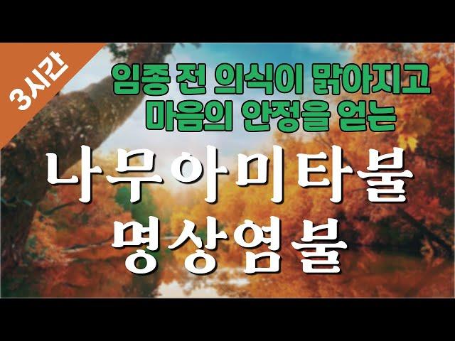〈3시간〉 [능행스님의 임상기도] 나무아미타불 명상염불