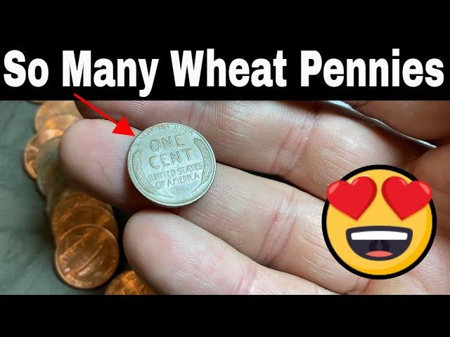 Wheat Pennies Found Coin Roll Hunting - Penny Hunt and Fill 185