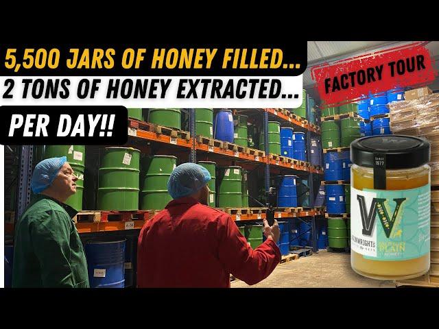 Big Honey Factory Tour With David Wainwright. Wainwrights Bee Farm