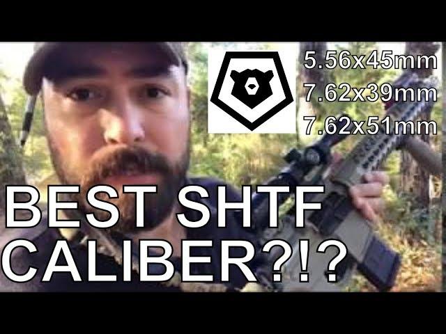 The BEST SHTF Caliber for TEOTWAWKI WROL Minuteman Militia