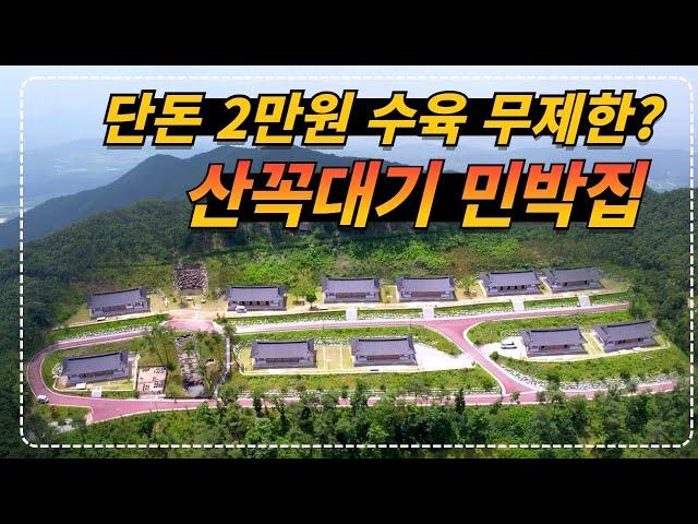 충북 보은ㅣ숙박 + 수영장  + 저녁 + 아침은 물론 단돈 2만원으로 무제한 수육과 공짜로 산양삼까지 먹는 산꼭대기 민박집