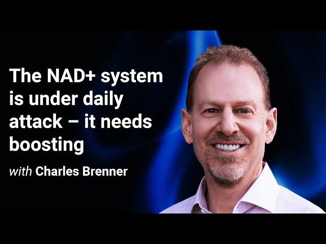 ‘The NAD+ system is under daily attack – it needs boosting’