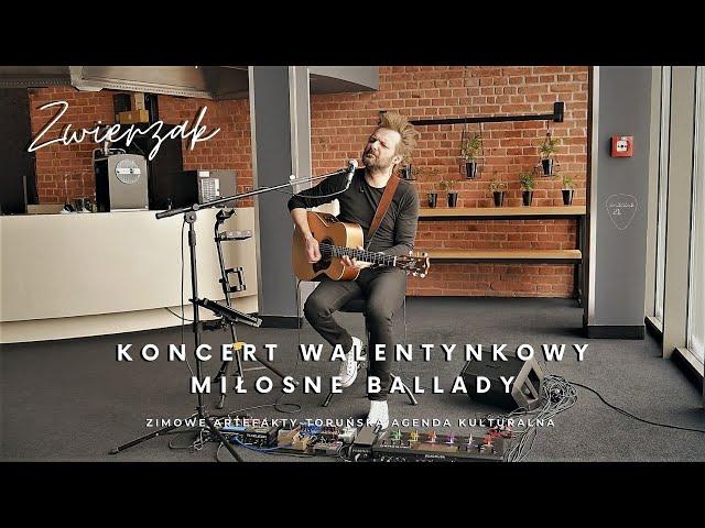 Zwierzak - Koncert Walentynkowy - Zimowe ARTEfakty TAK