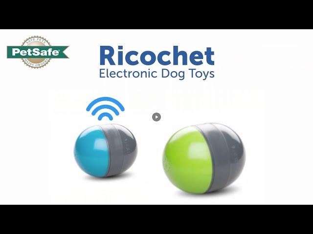 PetSafe® Ricochet Electronic Pet Toy - EN