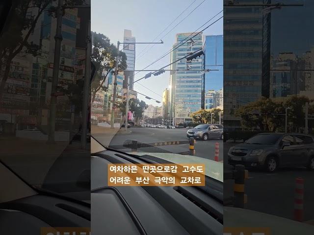 부산 연산교차로 초보운전