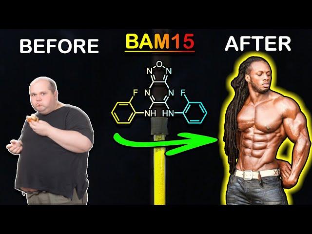 Making an Experimental Fat Burner (BAM15)