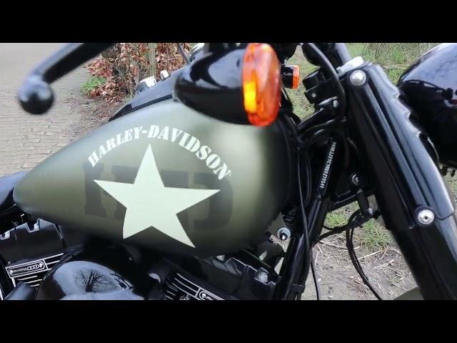 Harley-Davidson Softail Slim S 110!   FLS-S