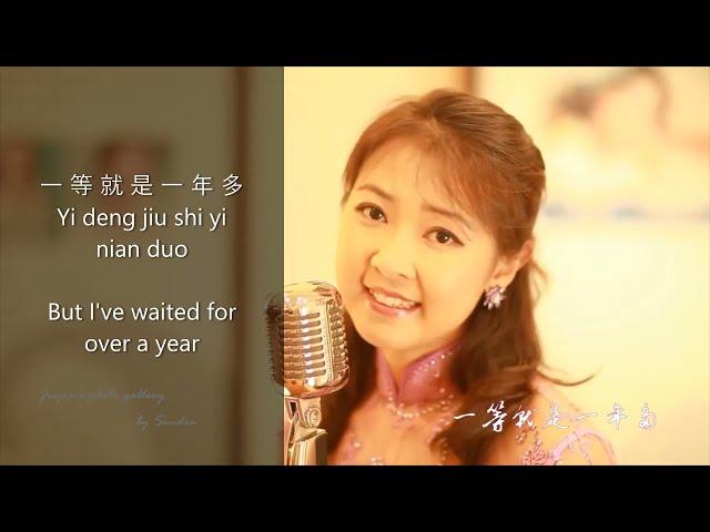 你怎么说 Ni zen me shuo,, singer  陳佳 Chen Jia, with Pinyin and English sub title