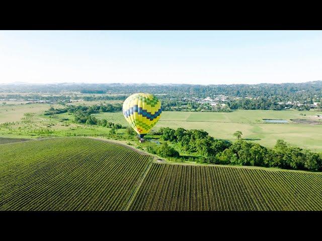 Sonoma County, Where Life Opens Up