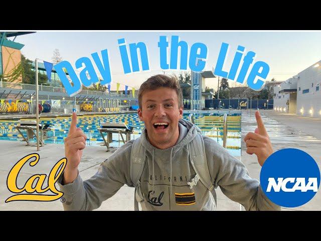 Day in the Life of a D1 Athlete | UC Berkeley Men’s Swimmer