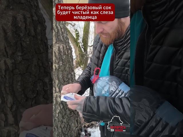Березовый сок без хлопот - держите крутой #лайфхак от беларусского врача #сок #берёзовыйсок #весна