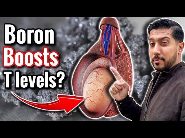 Boron for Testosterone and ED | This is What Boron ACTUALLY Does to Your