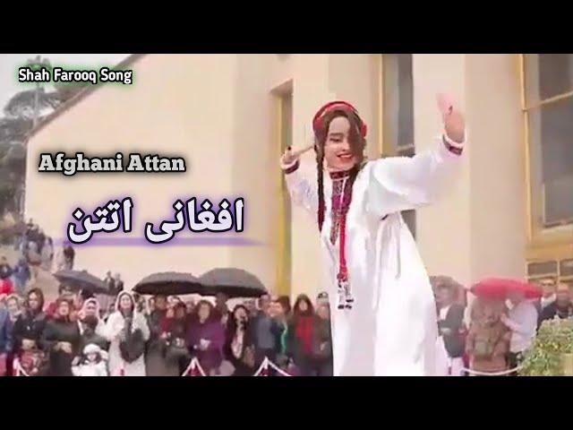 Shah Farooq New Song 2025 | Lakam Chasara Ba Da khwar Qismat Badal Kam | Pashto Songs TV