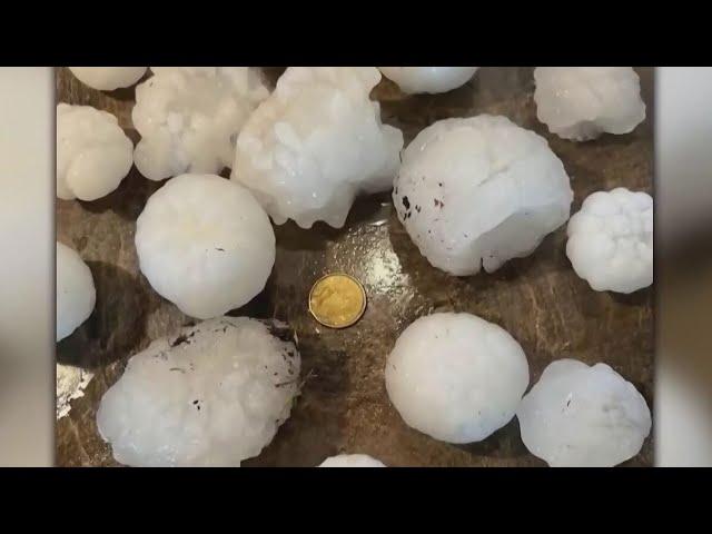 Terrifying hail storm causes millions in damages in Alberta