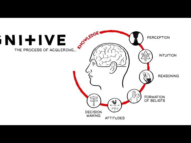 Who Are Cognitive? - A Cognitive Whiteboard Animation