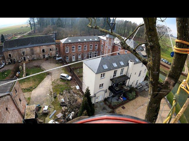 DÉMONTAGE DE DEUX GROS ARBRES ! PROCHE D'UNE CITERNE DE GAZ