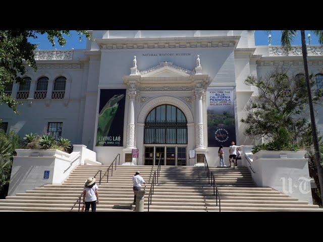 The San Diego Natural History Museum’s new exhibit explores beautiful Baja California