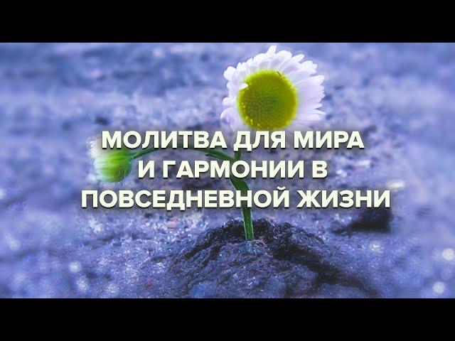 Молитва для мира и гармонии в повседневной жизни
