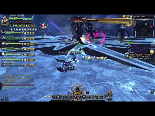 Dragon Nest SEA  | Frozen Dragon Nest Hardcore (1st Try) | Physician POV