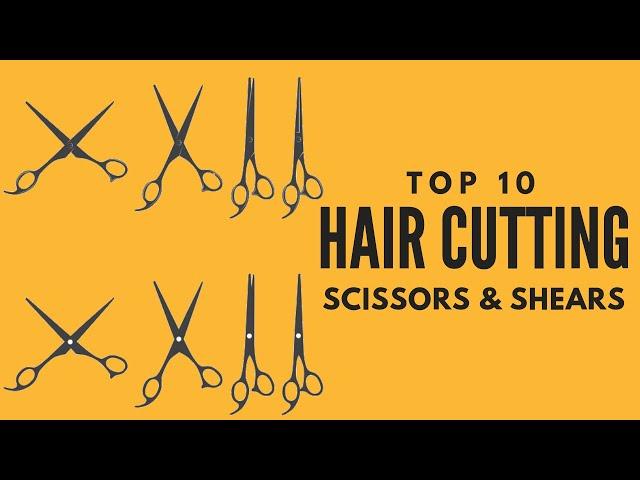 top ten haircutting scissors