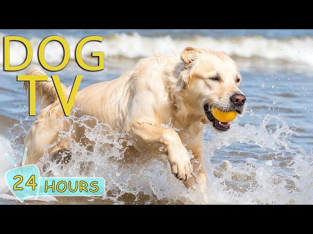 DOG TV: Best Videos for Dogs to Watch to Prevent Boredom Anxiety When Home Alone - Music for Dogs