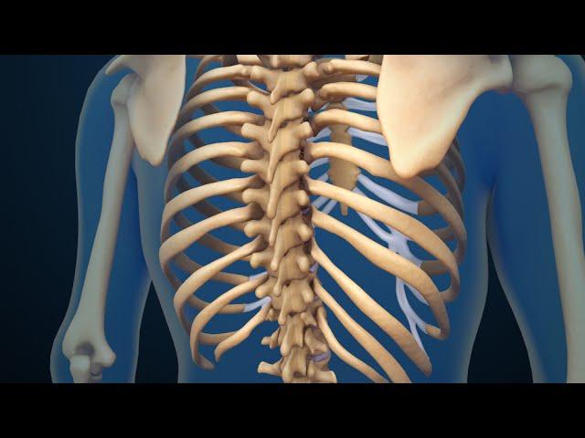 Back Surgery | Spinal Fusion | Nucleus Health